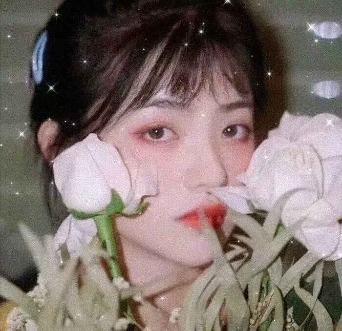 歌唱傻瓜